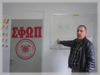 Kalamaras Spiros, Judge COM-OMJ, Section D